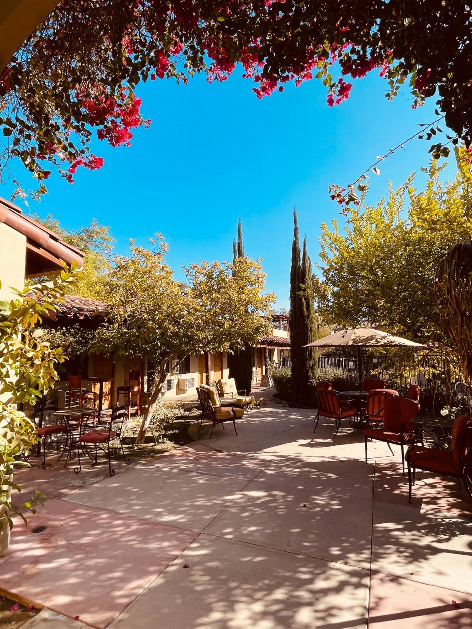 Los Arboles Hotel بالم سبرينغس المظهر الخارجي الصورة